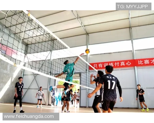 上海排球队灵活性变革引发热议探讨未来发展方向与策略调整